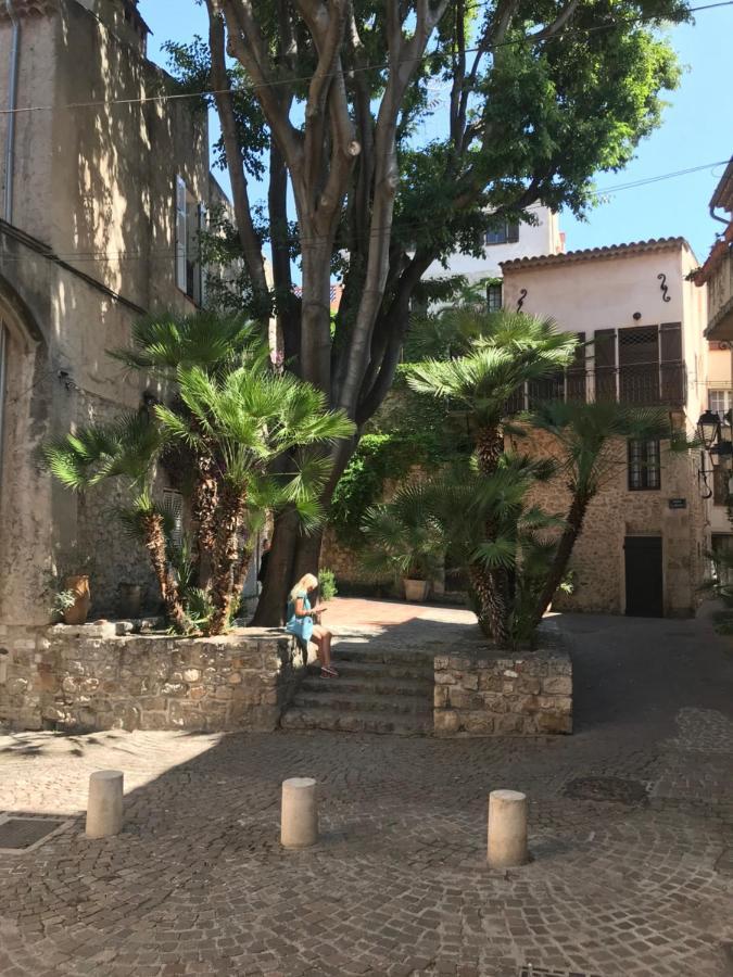 Antibes Tres Belle Situation ! Lägenhet Exteriör bild