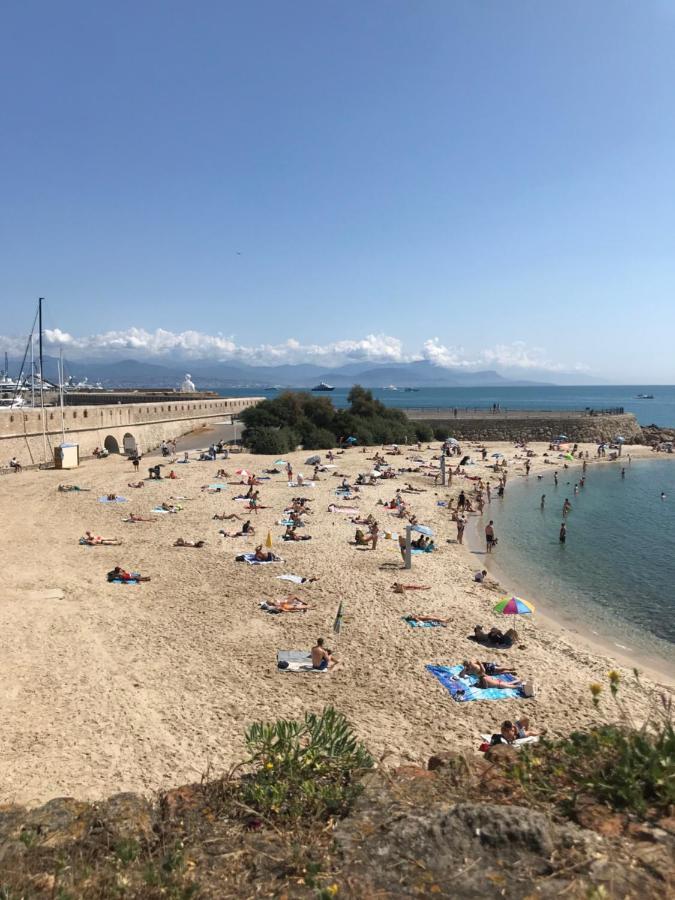 Antibes Tres Belle Situation ! Lägenhet Exteriör bild
