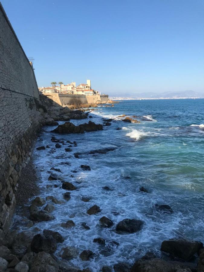 Antibes Tres Belle Situation ! Lägenhet Exteriör bild